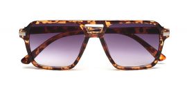 Transparent Leopard Square Glasses